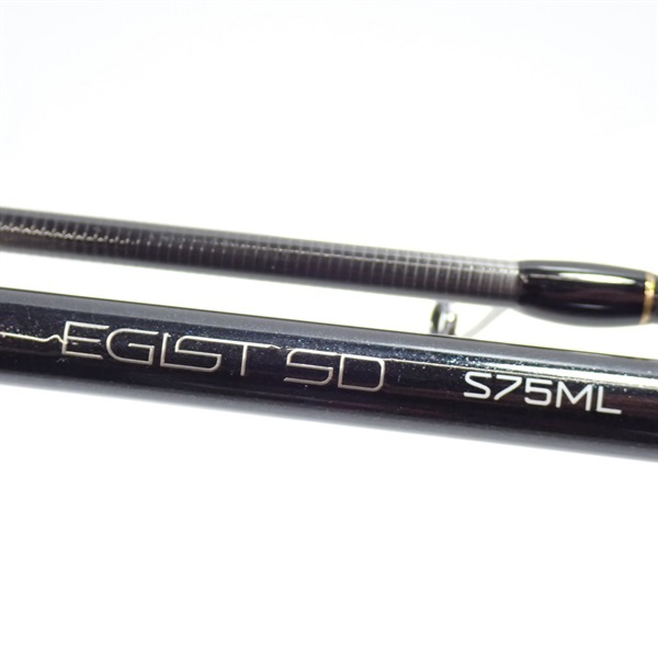 エギストＳＤＳ７５ＭＬ